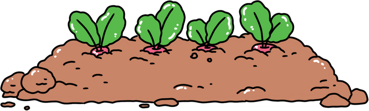 Cartoon vegetable plot, organic vegetable plot, vegetable illustration